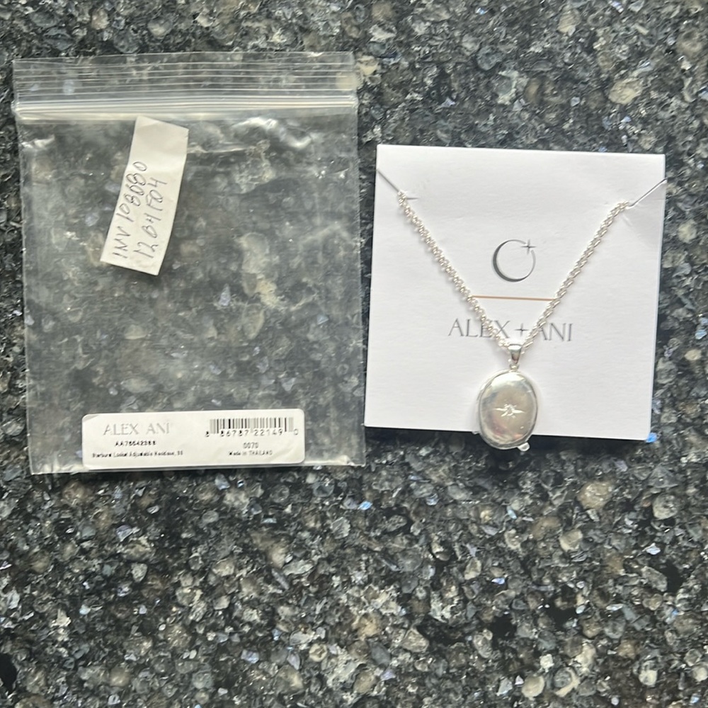 Alex and Ani Starburst Locket
